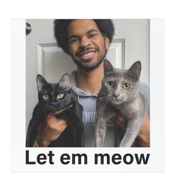 Jarrett Allen Let Em Meow Car Magnets